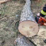 Feuerwehr zerschneidet Baum nach Sturmschaden