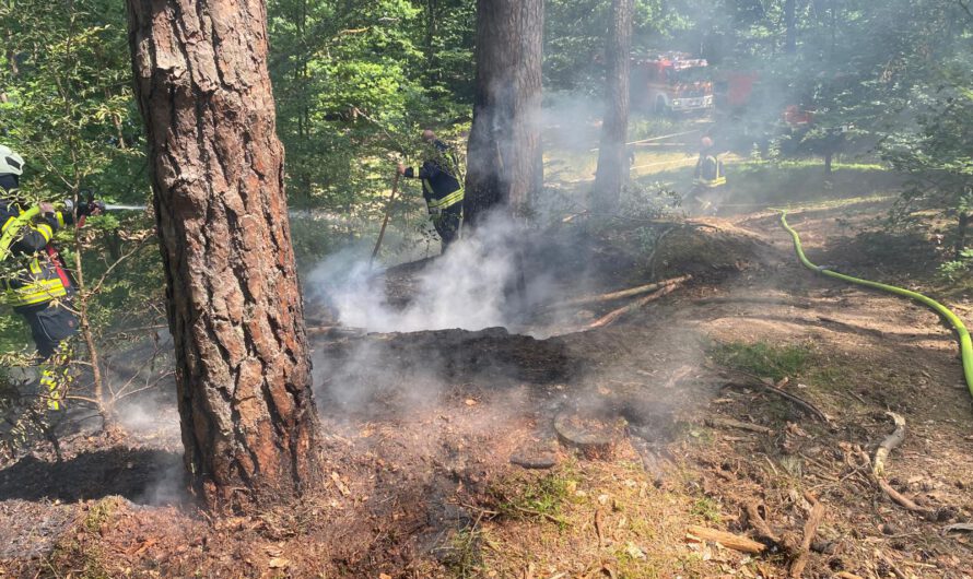Einsatznummer 07/2025