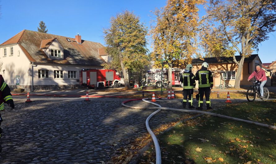 Einsatznummer 29/2025