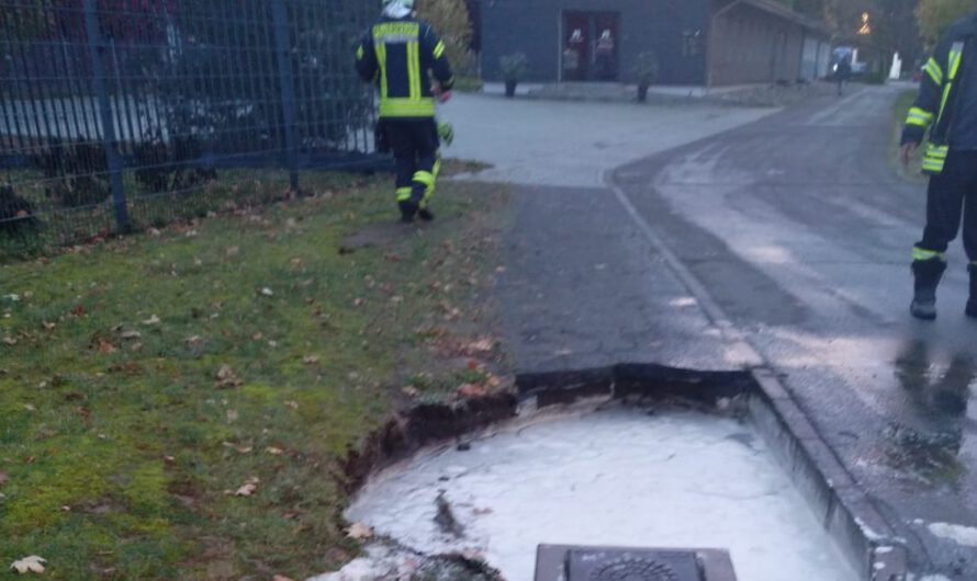 Einsatznummer 30/2025